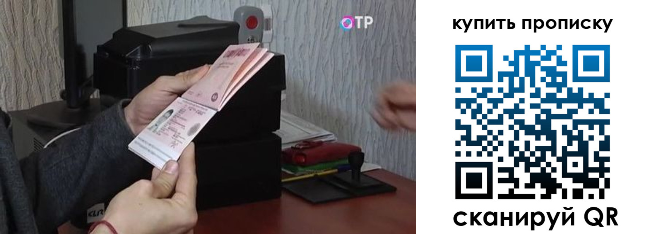 прописка гарантия в Александровске-Сахалинском